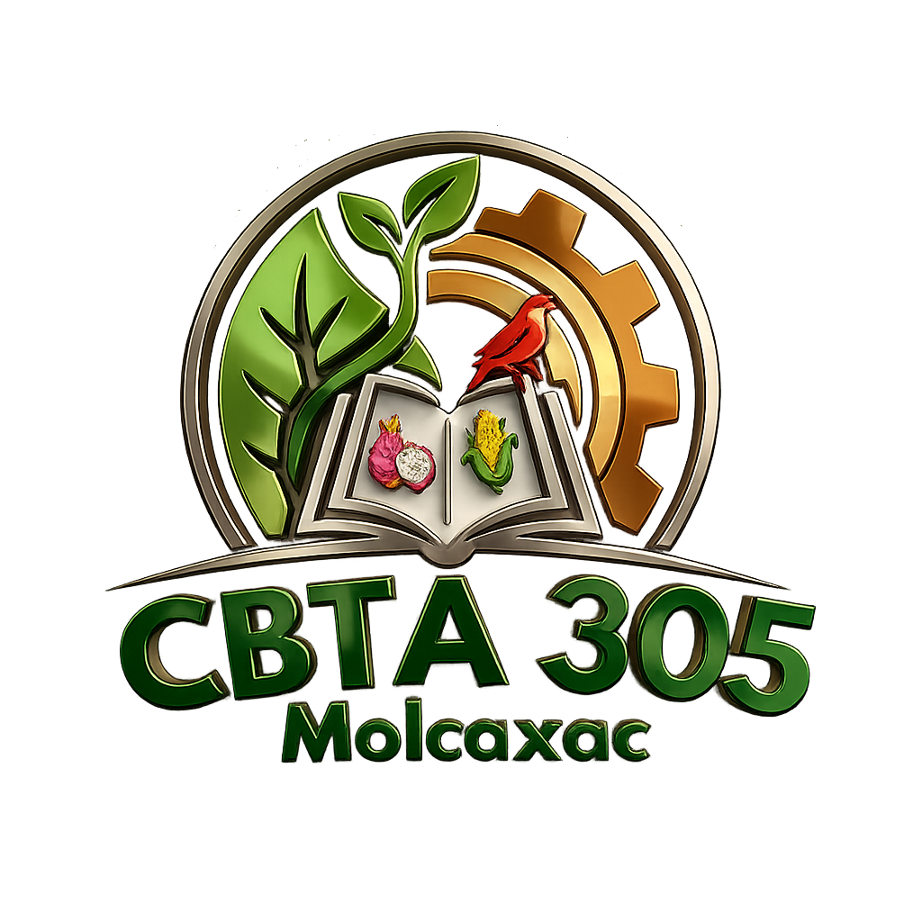 Logo CBTA 305